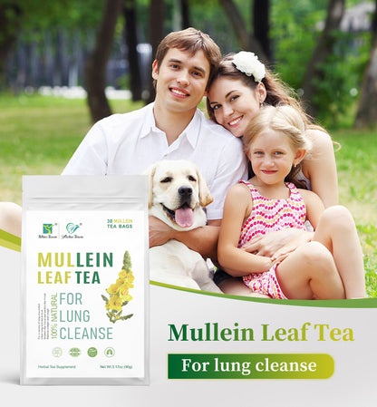 Mullein leaf tea detox lung smoker tea